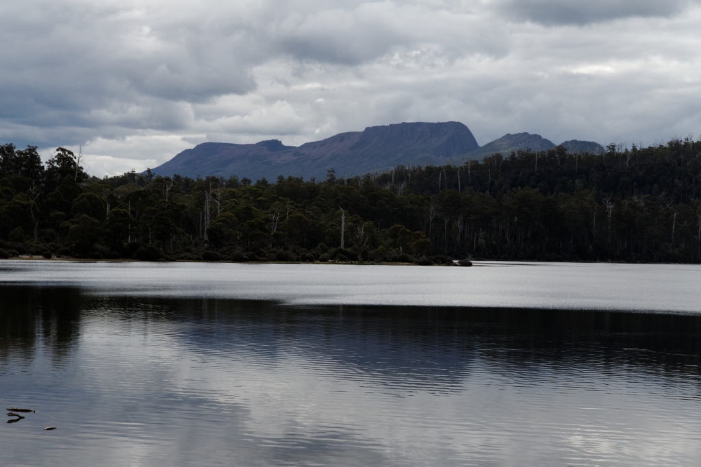 19 - Lake St Clair NP (17).jpg